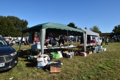 Pinterville Retro Show 2022