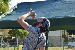 Pinterville Retro Show 2022