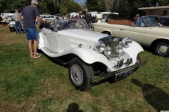 Pinterville Retro Show 2025